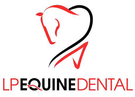 LP Equine Dental